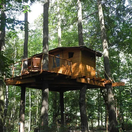 Chalet Treehouse V Brdech Bohutin (Central Bohemian)