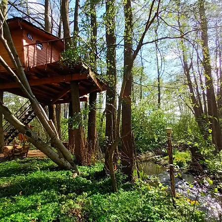 Chalet Treehouse V Brdech *