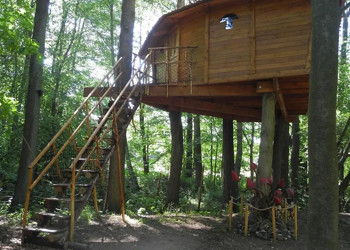 Treehouse V Brdech * Bohutín (středočeský)