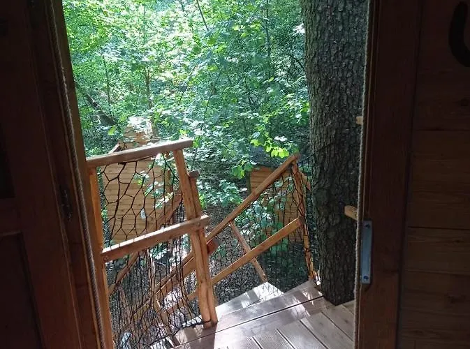 Treehouse V Brdech בקתה Bohutín